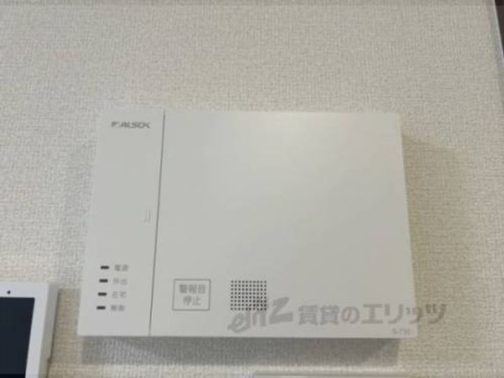 Bela sunoのその他画像