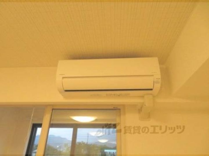 マーベラス コウベのその他画像