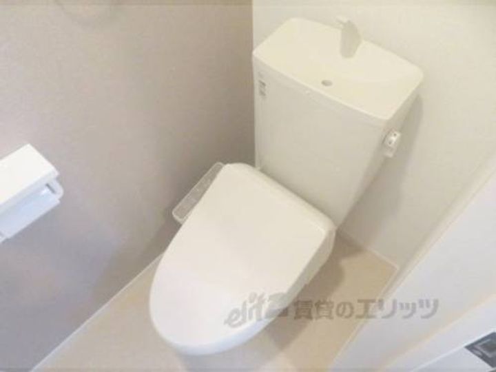 マーベラス コウベのその他画像