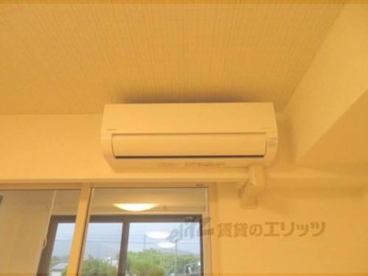 マーベラス コウベのその他画像