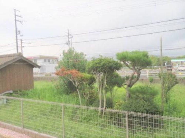 マーベラス コウベのその他画像