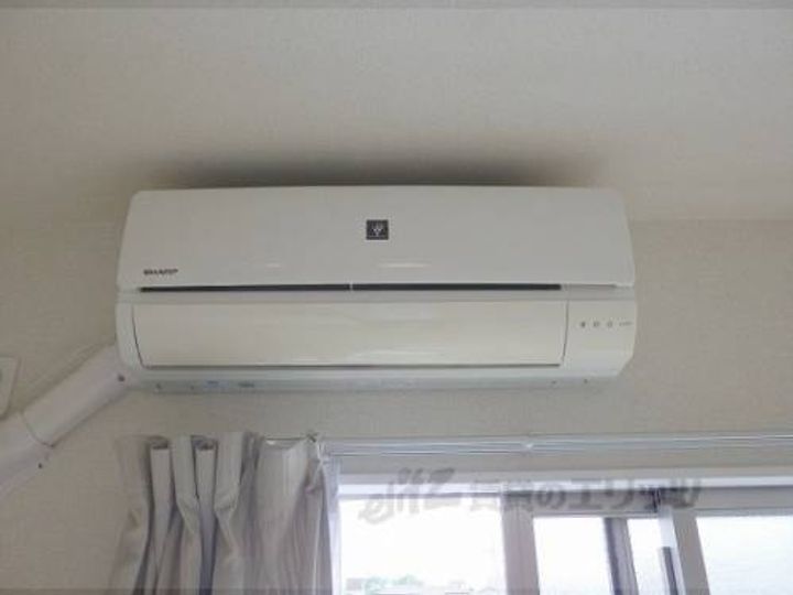 ミランダ浪華?のその他画像