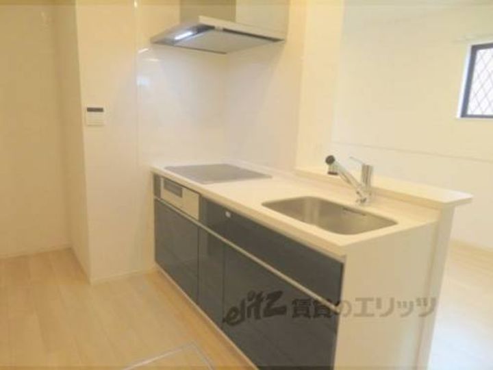 デスパシオ氷上?のキッチン