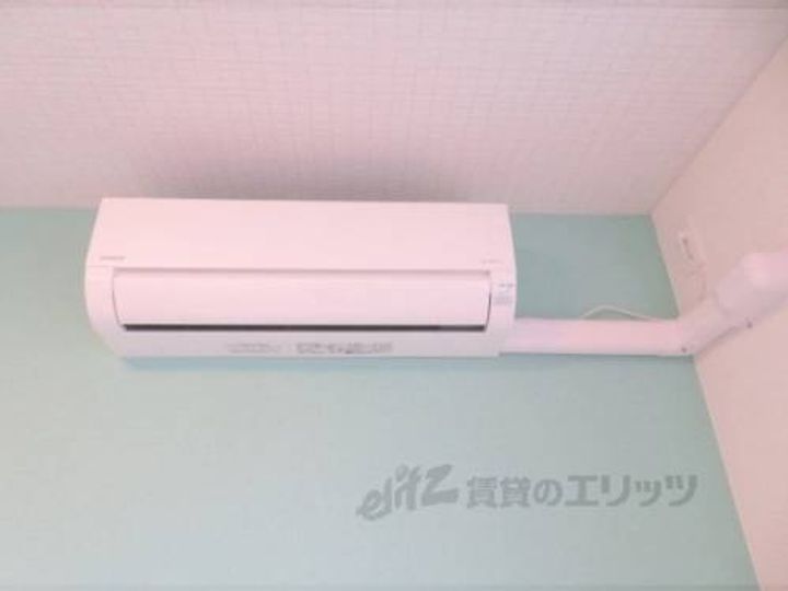 デスパシオ氷上?のその他画像