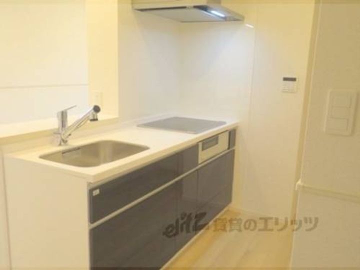 デスパシオ氷上?のキッチン