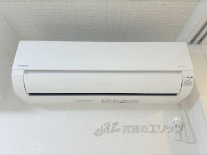 シャイン?のその他画像