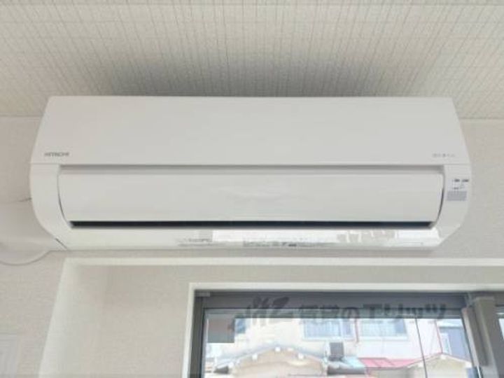 シャイン?のその他画像
