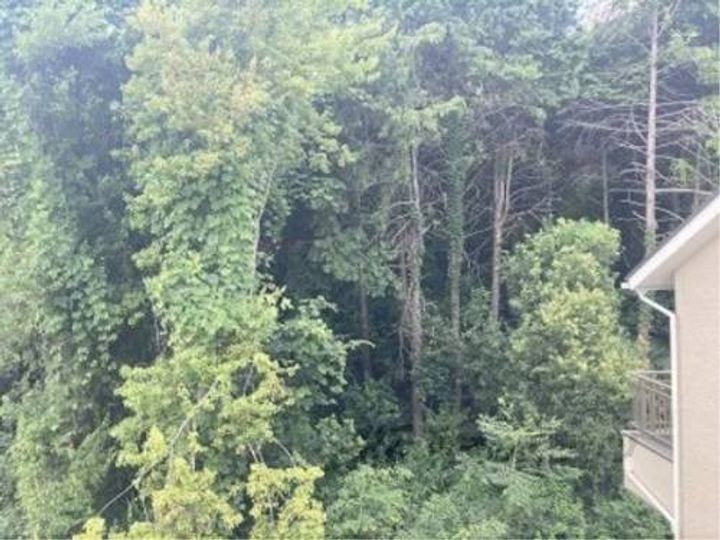 プレステ赤膚マンション205のその他画像