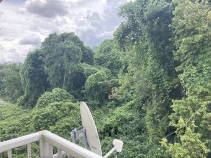 プレステ赤膚マンション205のその他画像