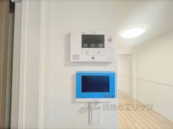 クローバーのその他画像