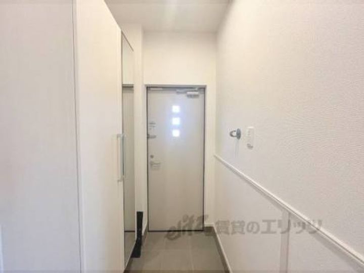 クローバーのその他画像