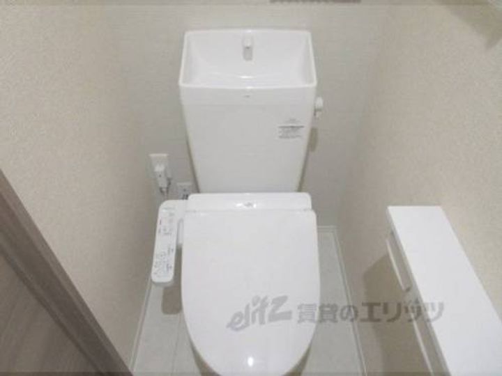 Vrai Soleilのその他画像