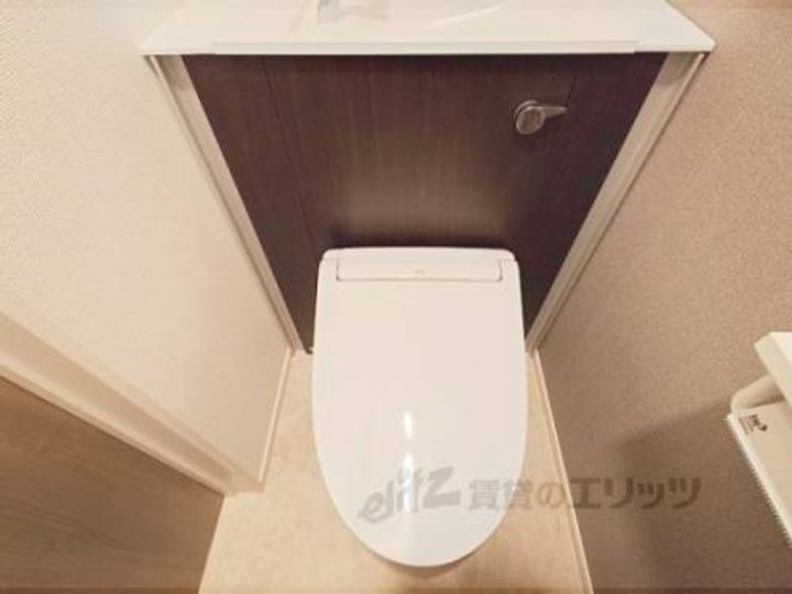 トレミー御領のその他画像