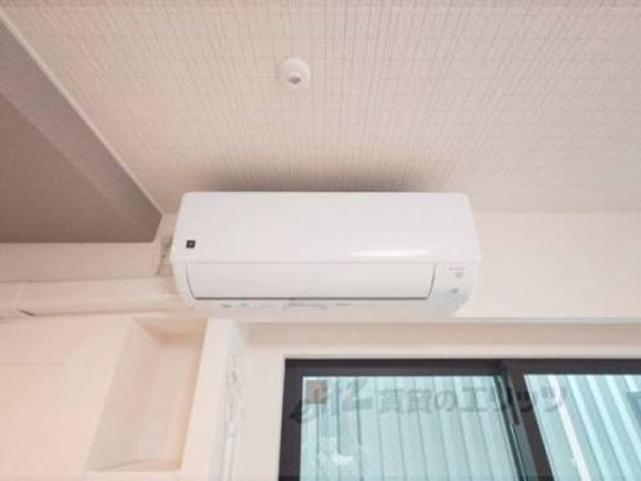 トレミー御領のその他画像