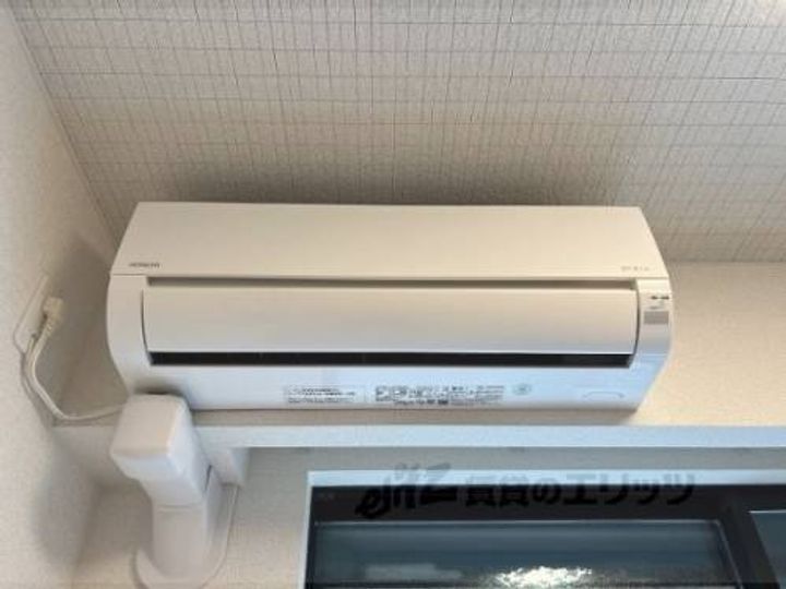 アルドーレ?のその他画像