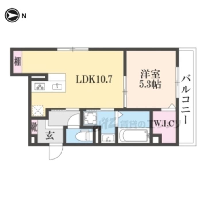 ルミナスの間取り
